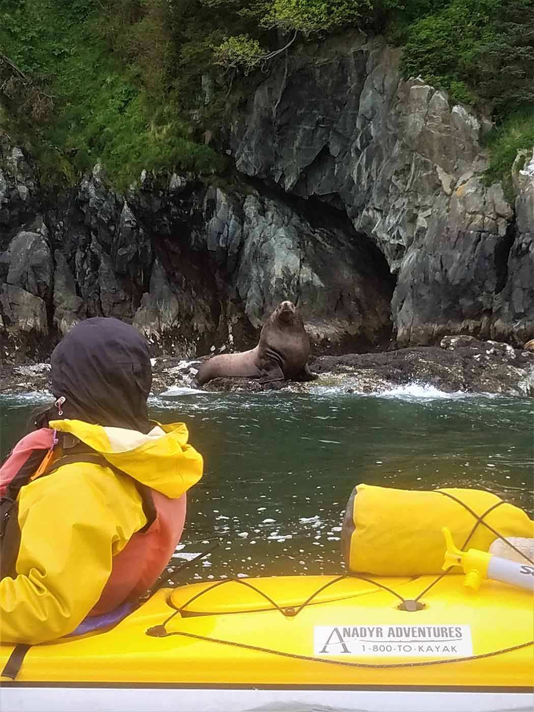Glacier Island Columbia Glacier camp 14