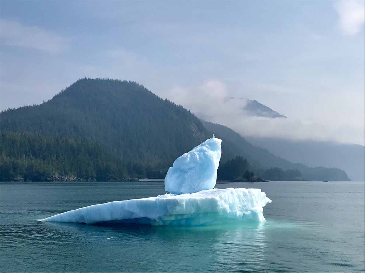 Glacier Island Columbia Glacier camp 29
