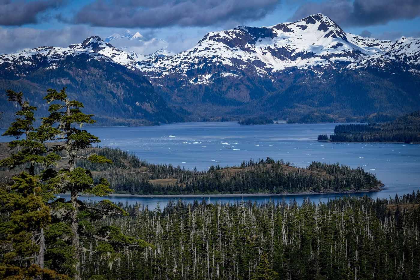 Glacier Island Columbia Glacier camp 9