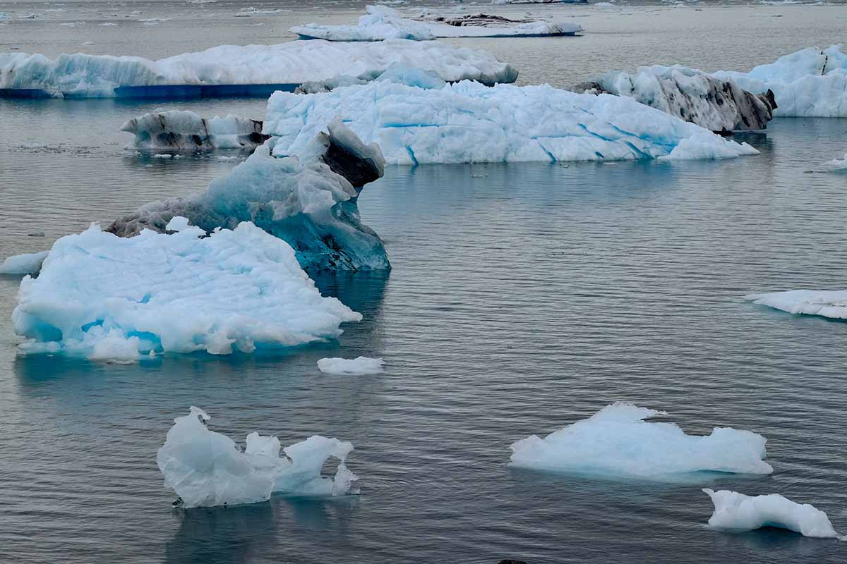 Columbia Glacier Camp 18