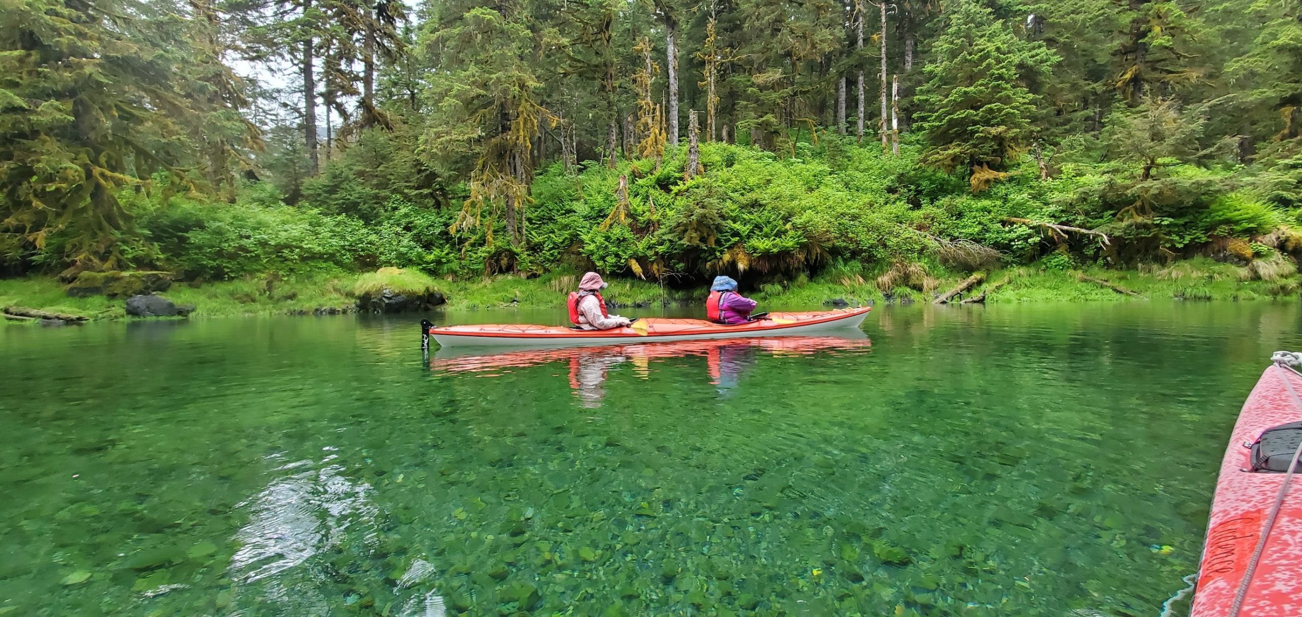 Sawmill Bay 8 Sawmill Bay kayak
