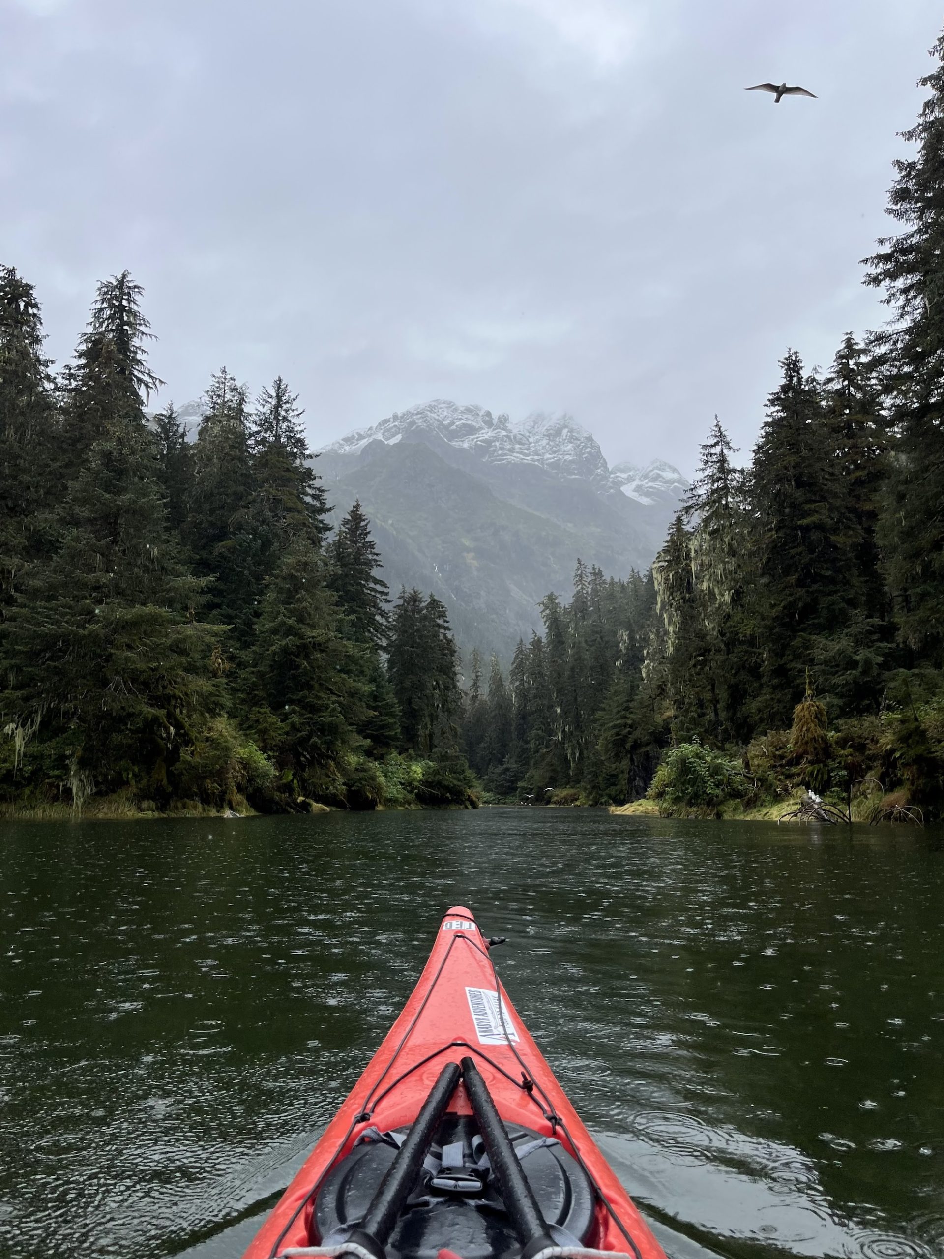 Sawmill Bay 9 Sawmill Bay kayak